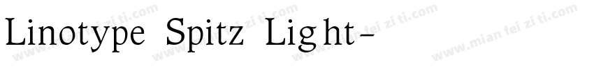 Linotype Spitz Light字体转换